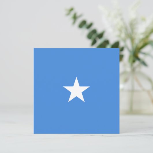 Vlag van Somalië Kaart (Staand voorkant)