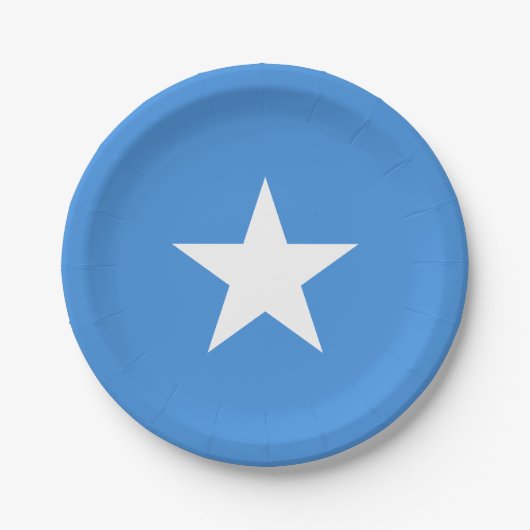 Vlag van Somalië Papieren Bordje (Voorkant)