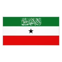 Vlag van Somaliland