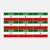 Vlag van Somaliland Labels (Vel)