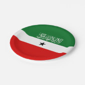 Vlag van Somaliland Papieren Bordje (Gekanteld)