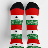 Vlag van Somaliland Sokken (Top)