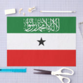 Vlag van Somaliland Tissuepapier (Craft)