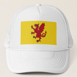 Vlag van Somerset Hoed Trucker Pet