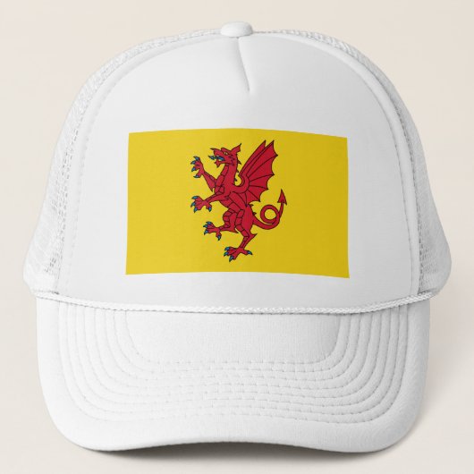 Vlag van Somerset Hoed Trucker Pet (Voorkant)