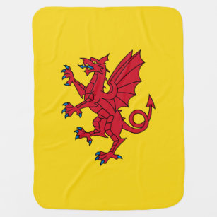 Vlag van Somerset Inbakerdoek