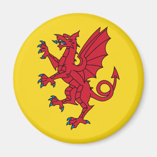 Vlag van Somerset Magnet