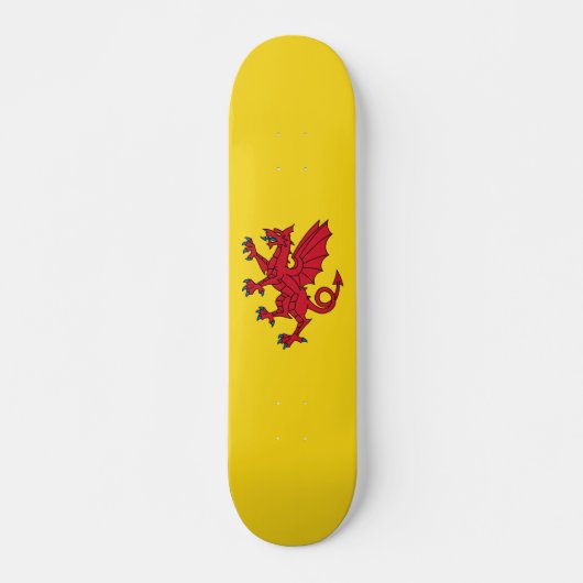 Vlag van Somerset Skateboard (Voorkant)