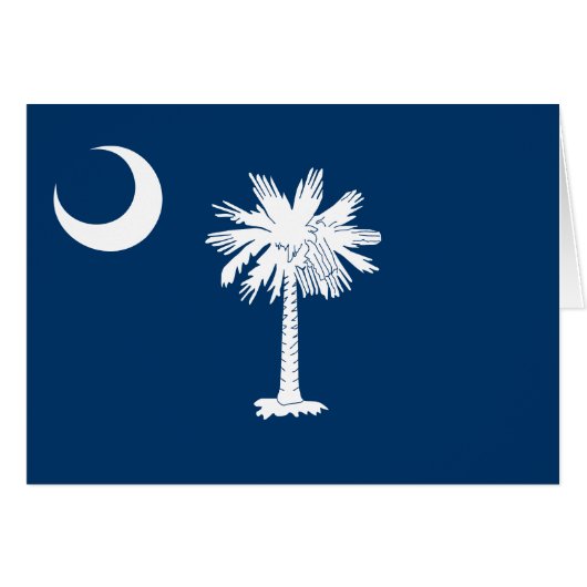 Vlag van South Carolina (Voorkant Horizontaal)