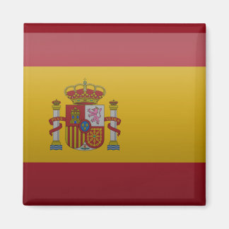 Vlag van Spanje Magneet