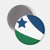 Vlag van Spring Hill, Tennessee Magneet (Voorkant / Achterkant)