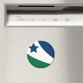 Vlag van Spring Hill, Tennessee Magneet (Insitu (Vaatwasser))