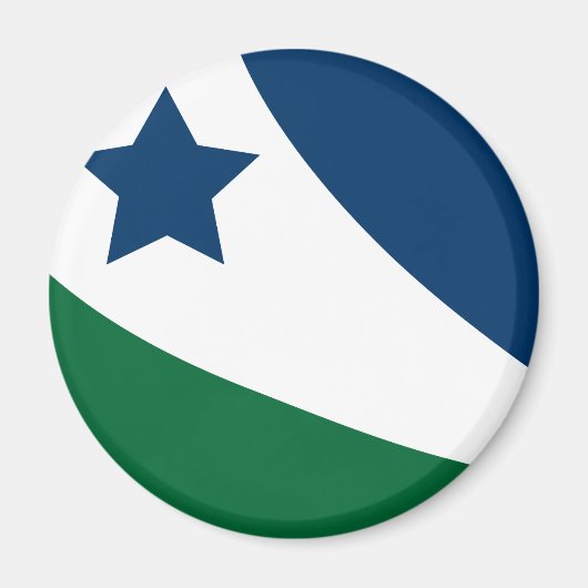 Vlag van Spring Hill, Tennessee Magneet (Voorkant)