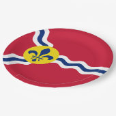 Vlag van St. Louis (Missouri) Papieren Bordje (Gekanteld)