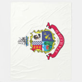 Vlag van Stamford (Connecticut) Fleece Deken (Voorkant)