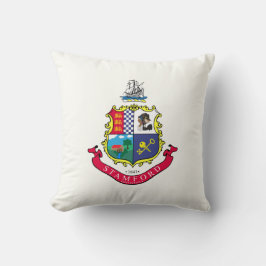 Vlag van Stamford (Connecticut) Kussen