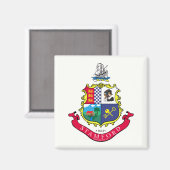 Vlag van Stamford (Connecticut) Magneet (Voorkant / Achterkant)