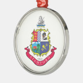 Vlag van Stamford (Connecticut) Metalen Ornament (Links)