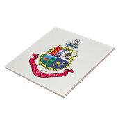 Vlag van Stamford (Connecticut) Tegeltje (Zijkant)