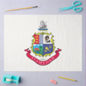 Vlag van Stamford (Connecticut) Tissuepapier (Craft)