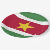 Vlag van Suriname Papieren Bordje (Gekanteld)