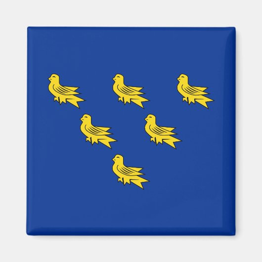 Vlag van Sussex Magneet (Voorkant)