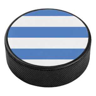 Vlag van Tallinn, Estland Hockey Puck