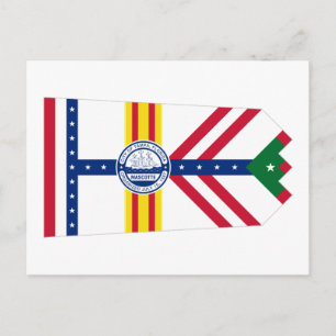 Vlag van Tampa, Florida Briefkaart