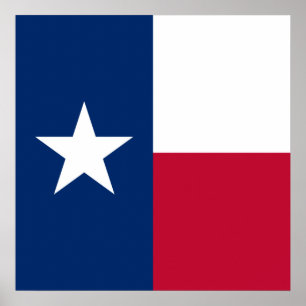 Vlag van Texas: Longhorns, de Texaanse eenzame ste Poster
