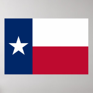 Vlag van Texas: Longhorns, de Texaanse eenzame ste Poster