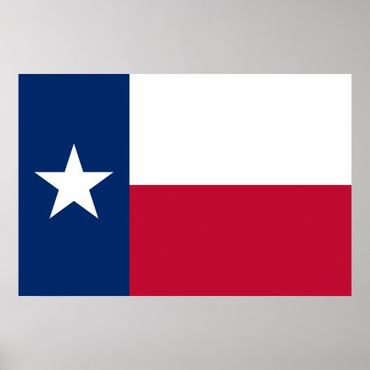 Vlag van Texas: Longhorns, de Texaanse eenzame ste Poster (Voorkant)