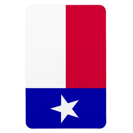 Vlag van Texas Magnet Magneet (Verticaal)