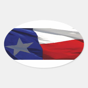 Vlag van Texas Pop Art Ovale Sticker