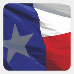 Vlag van Texas Pop Art Vierkante Sticker