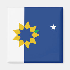 Vlag van Topeka (Kansas) Magneet