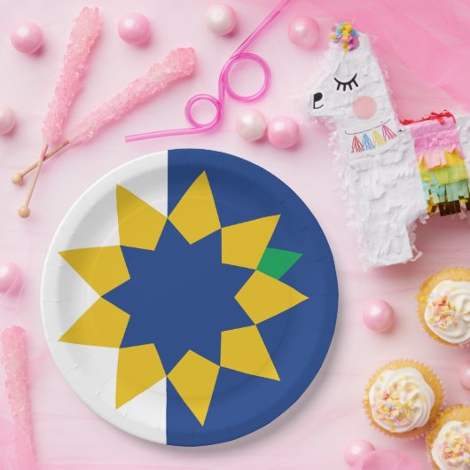 Vlag van Topeka, Kansas Papieren Bordje (Feest)