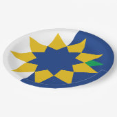 Vlag van Topeka, Kansas Papieren Bordje (Gekanteld)