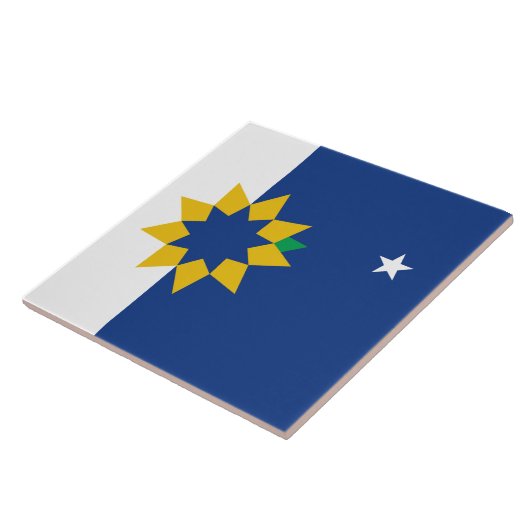 Vlag van Topeka (Kansas) Tegeltje (Zijkant)