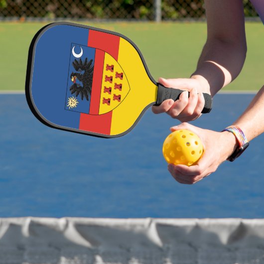 Vlag van Transsylvanië Pickleball Paddle (Insitu)
