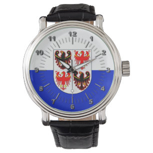 Vlag van Trentino Alto Adige (Italië) Horloge