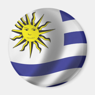 Vlag van Uruguay Magneet