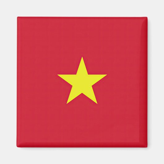 Vlag van Vietnam Magneet (Voorkant)
