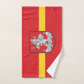 Vlag van Vilnius, Litouwse handdoek (Handdoek)