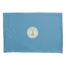 Vlag van Virginia Beach (Virginia, VS)