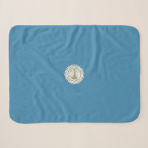 Vlag van Virginia Beach (Virginia, VS)