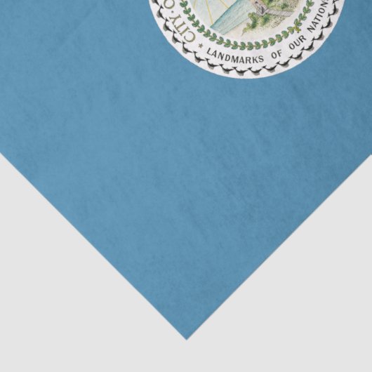 Vlag van Virginia Beach (Virginia, VS) Tissuepapier (Detail)