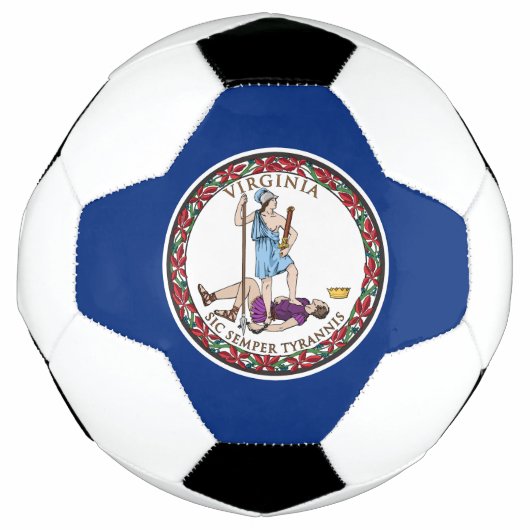 Vlag van Virginia Voetbal (Voorkant)