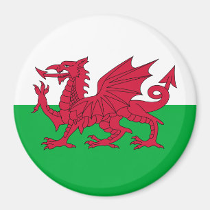 Vlag van Wales Magneet