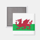 Vlag van Wales Magneet (Voorkant / Achterkant)