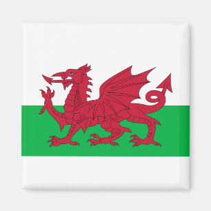 Vlag van Wales Magneet